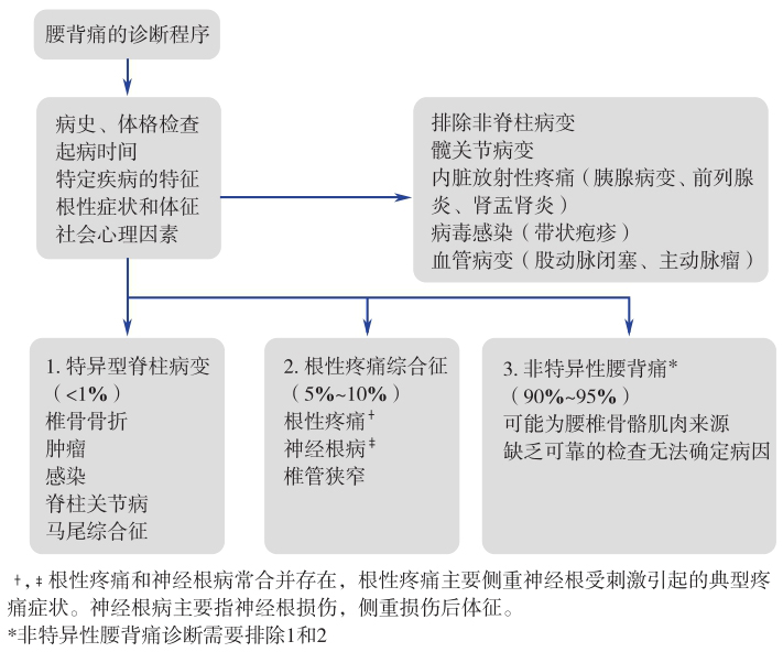 图1 腰背痛的诊断思路
